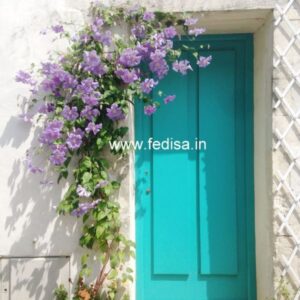 Door Design Wooden Door Design For Home Main Door Designs 2024 Fresh Door Design