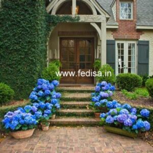 Main Door Design Bedroom Door Design Door Design Main Gate Chinese Door Design