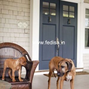 Main Door Design Steel Door Design Best Room Door Design Fabricated Door Design