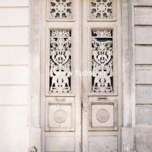 Main Door Design Safety Door Design First Door Design Hand Carved Doors