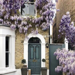 Wooden Door Design Sliding Door Design Single Panel Door Design Almirah Glass Door Design