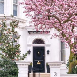 Door Design Room Door Design Double Door Design For Home Single Door Steel Gate Design