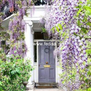Wooden Door Design Double Door Design Jalidar Door Design 3d Main Door Design