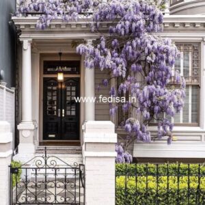 Main Door Design Modern Door Design Gi Sheet Door Design Door With Mirror Design