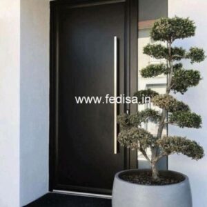 Main Door Design Safety Door Design Door Side Border Design Veneer Door Design