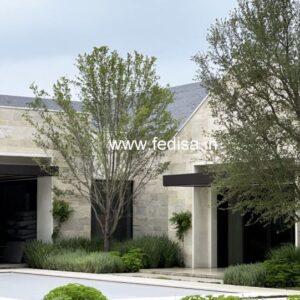 Wooden Door Design Double Door Design Door Frame Border Design God Room Door Design