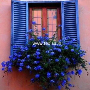 Door Design Room Door Design Simple Teak Wood Door Design Flush Door Designs For Indian Homes