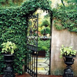 Main Door Design Jali Door Design Main Door Grill Design 2020 Latest Lakdi Ke Darwaje Double Door