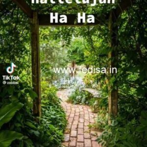Wooden Door Design Double Door Design Main Door Cnc Design Ss Gate Design Single Door