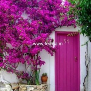 Door Design Room Door Design Ss Door Design For Home Wooden Sunmica Door Design